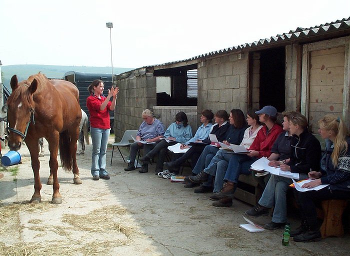 Hazel Porreca Teaching